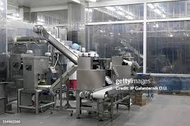 Food Processing Machine